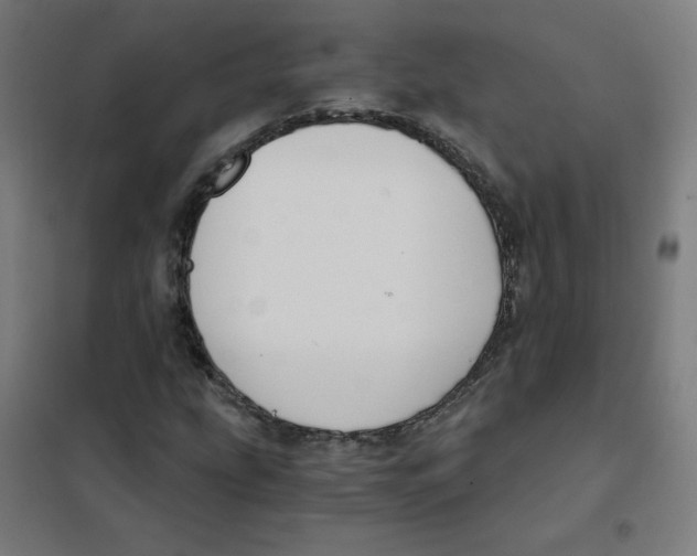 X0000101431207200808041144