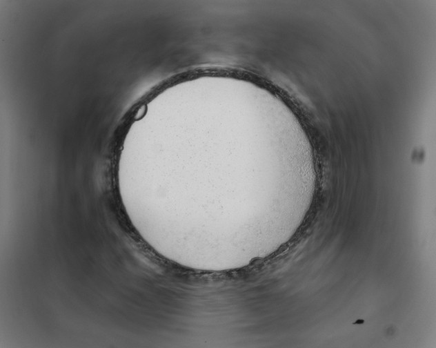 X0000101431208200808041144