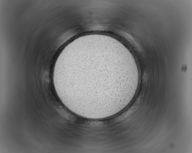 X0000101431209200808041144