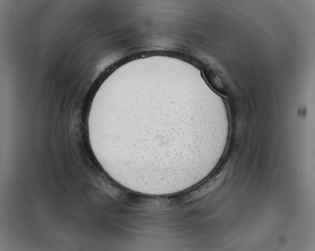 X0000101431210200808041144