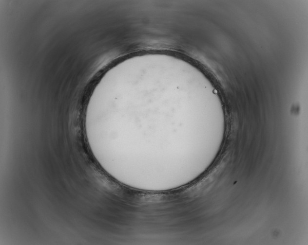 X0000101431211200808041144