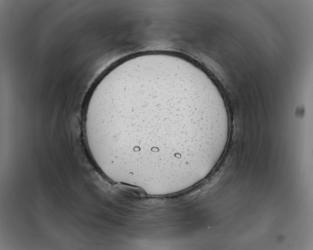 X0000101431212200808041144