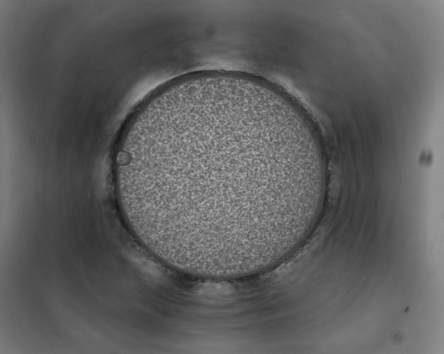 X0000101431215200808041144