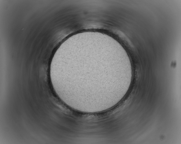 X0000101431217200808041144