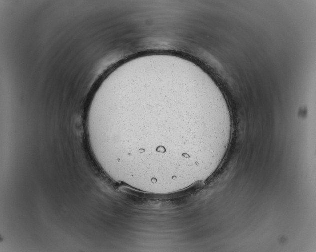 X0000101431218200808041144