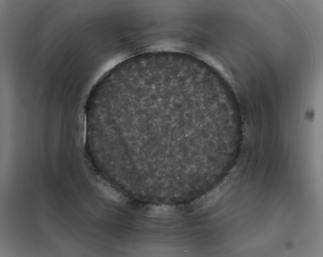 X0000101431219200808041144