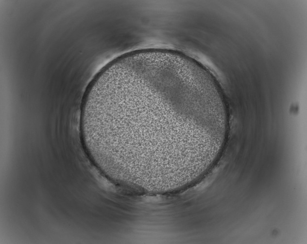 X0000101431220200808041144