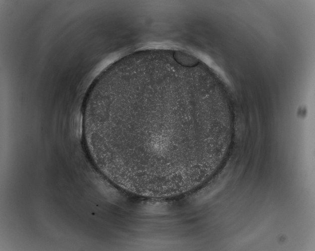 X0000101431221200808041144