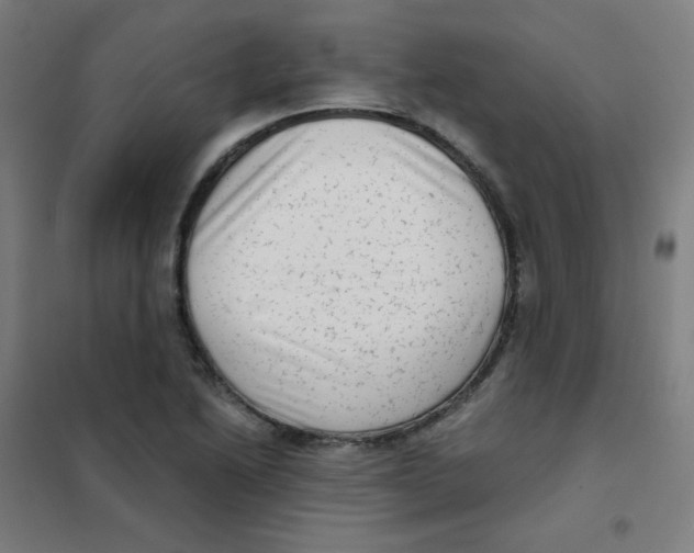 X0000101431222200808041144