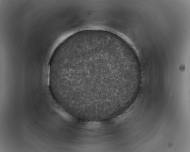 X0000101431223200808041144