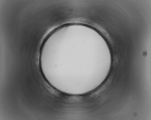 X0000101431224200808041144