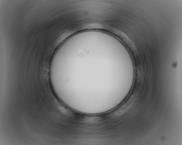 X0000101431225200808041144