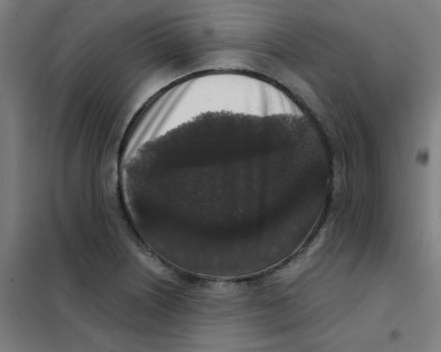 X0000101431226200808041144