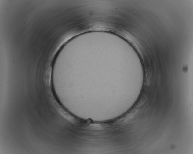 X0000101431227200808041144