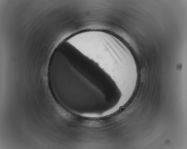 X0000101431229200808041144