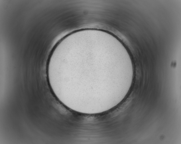 X0000101431230200808041144