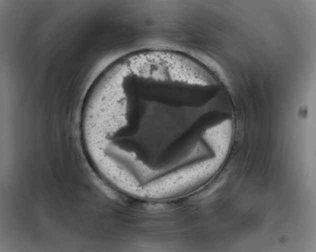 X0000101431231200808041144