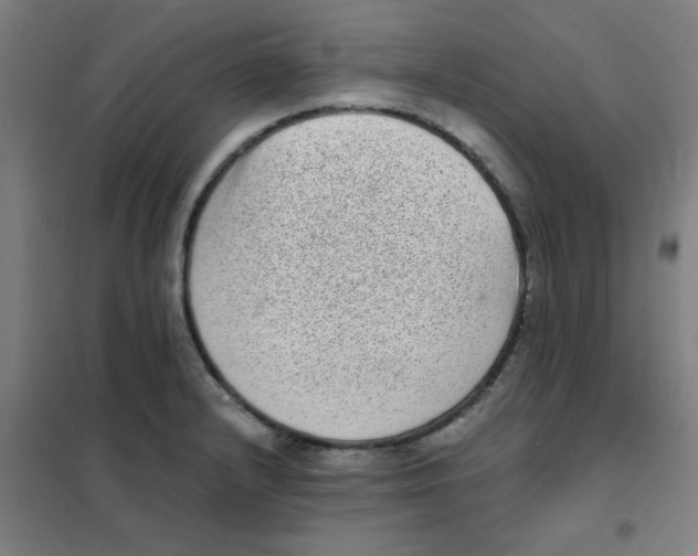 X0000101431232200808041144