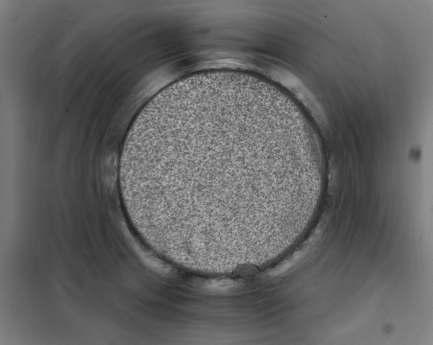 X0000101431233200808041144