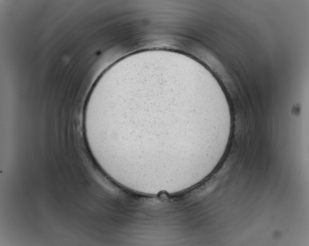 X0000101431234200808041144