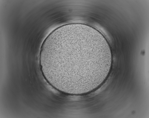 X0000101431236200808041144