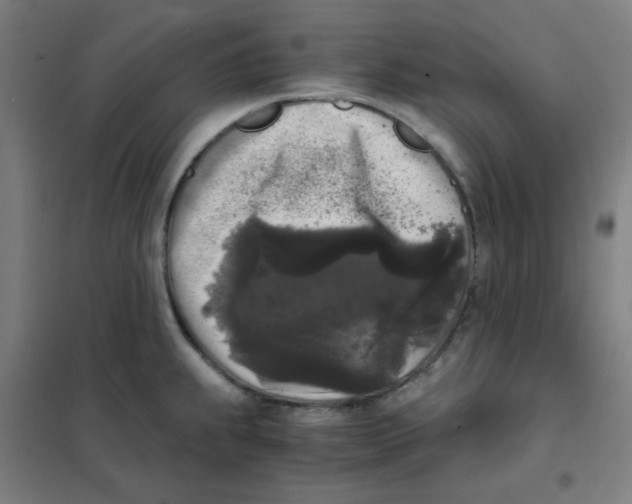 X0000101431239200808041144