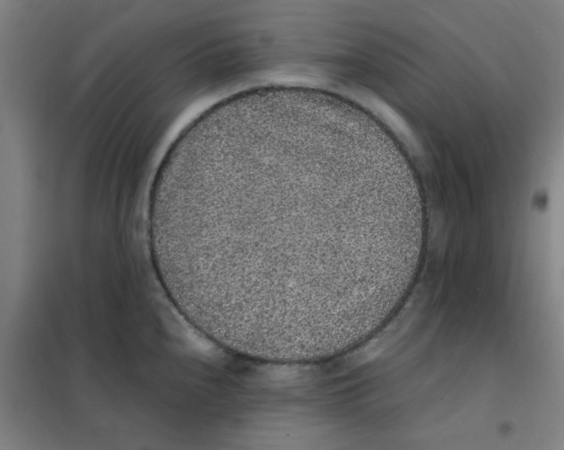 X0000101431240200808041144