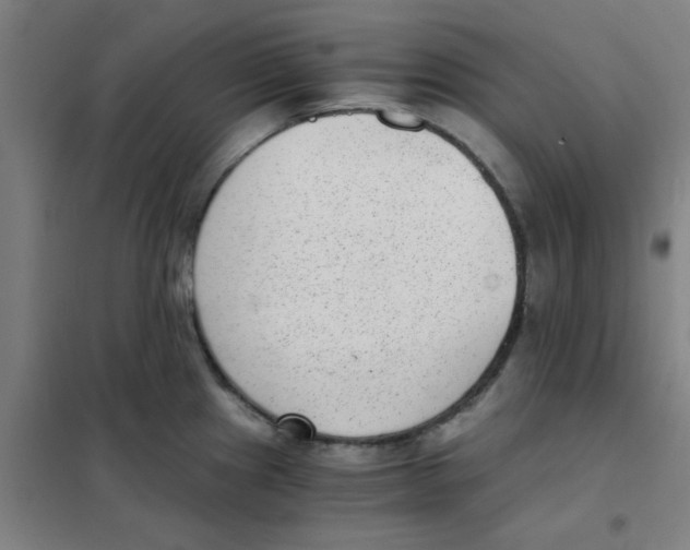 X0000101431241200808041144