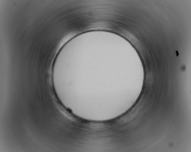 X0000101431242200808041144