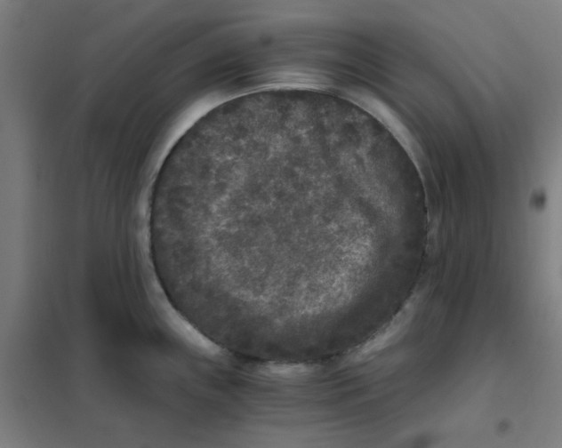 X0000101431243200808041144