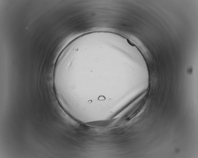 X0000101431244200808041144