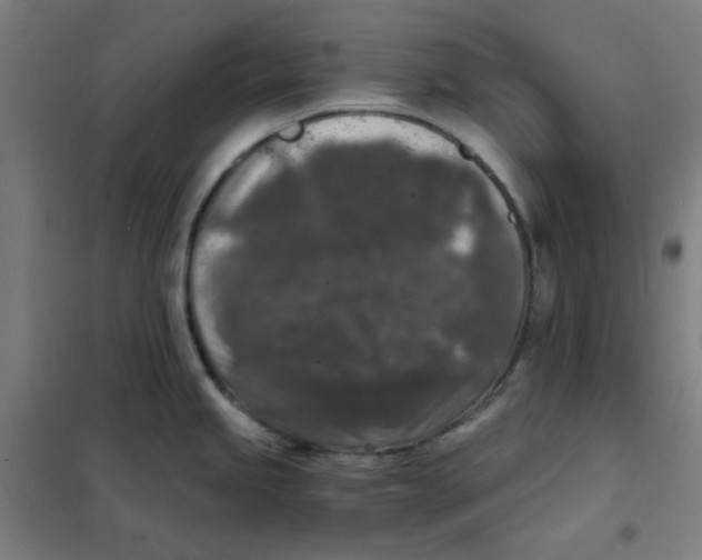 X0000101431245200808041144