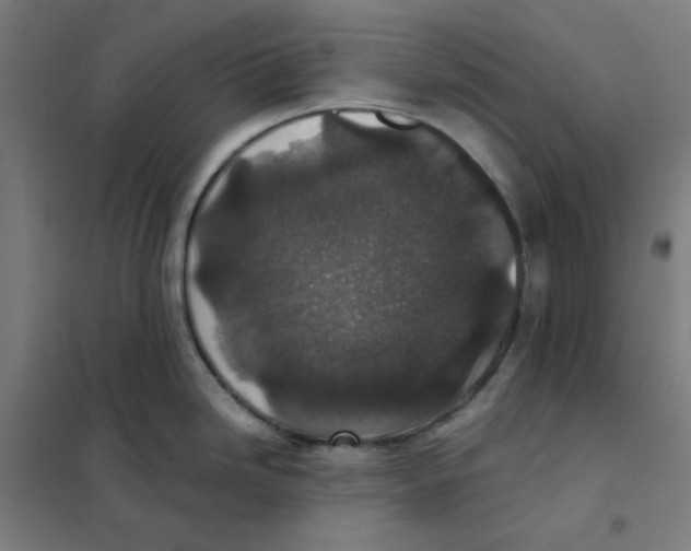 X0000101431246200808041144