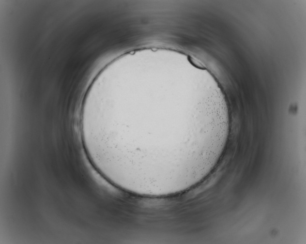 X0000101431247200808041144