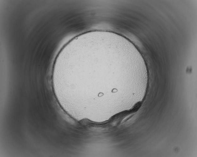 X0000101431248200808041144