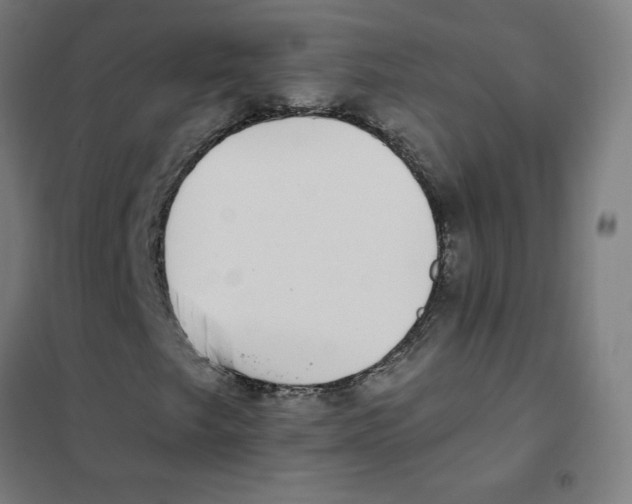 X0000101431249200808041143