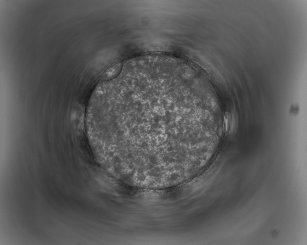 X0000101431251200808041143