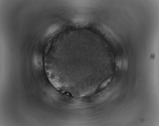 X0000101431252200808041143