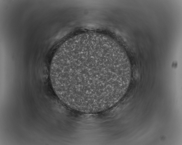 X0000101431253200808041143