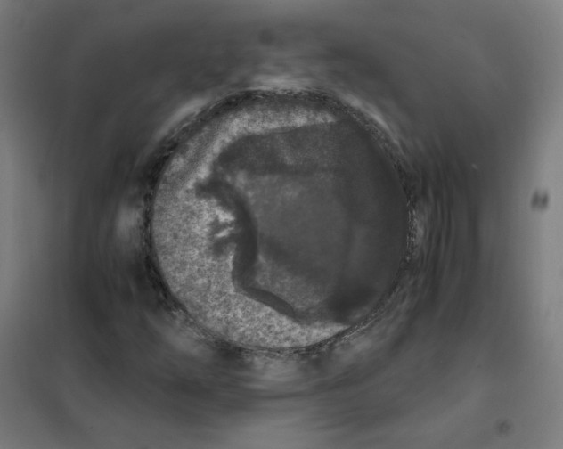 X0000101431254200808041143