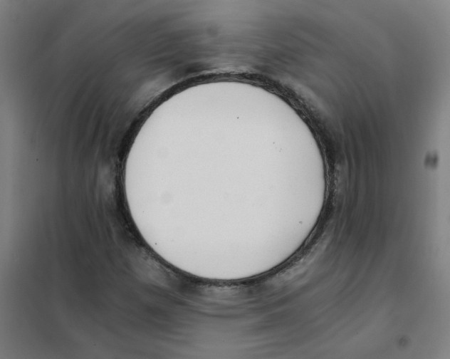 X0000101431257200808041143