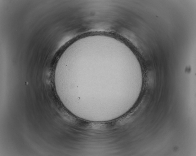 X0000101431258200808041143