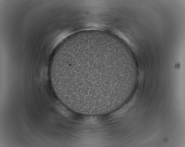 X0000101431259200808041143