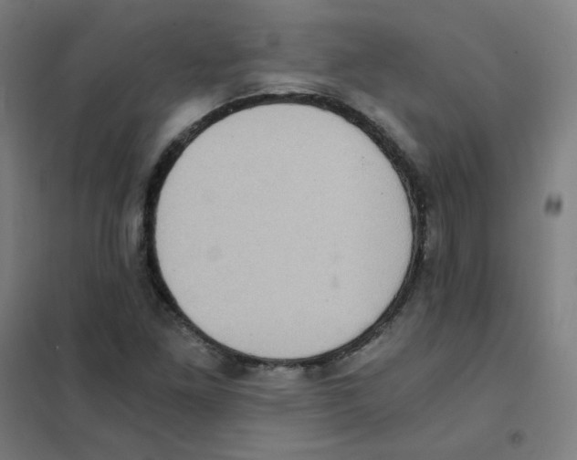 X0000101431261200808041143