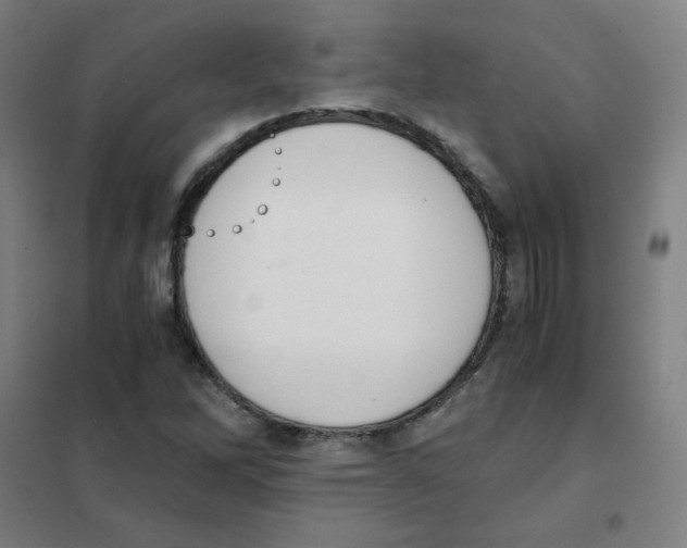 X0000101431262200808041143