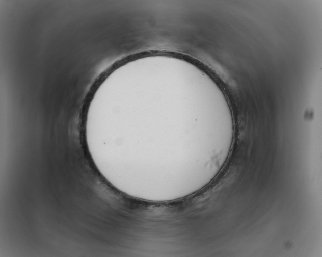 X0000101431264200808041143