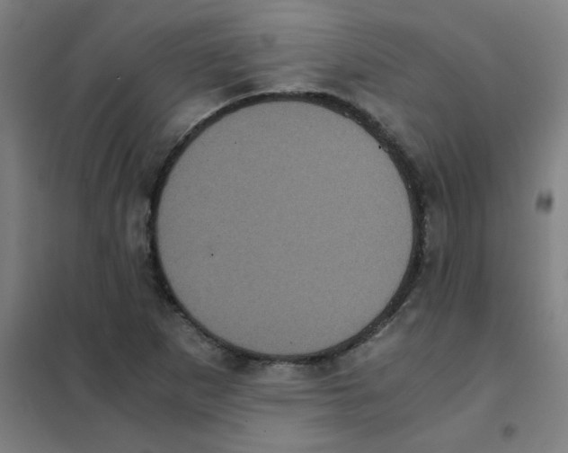 X0000101431265200808041143