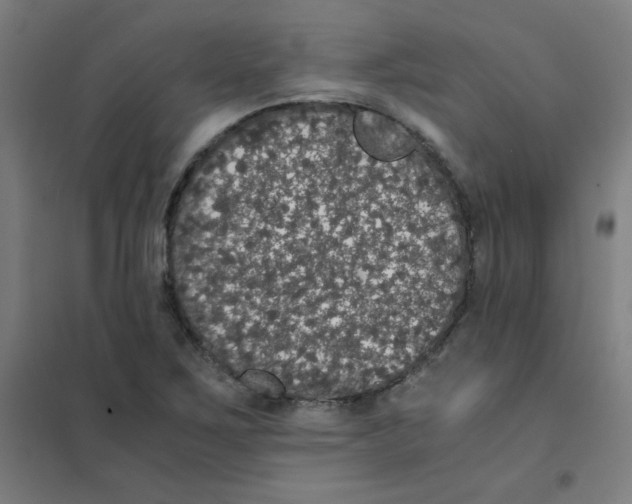 X0000101431267200808041143