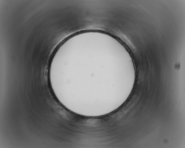 X0000101431268200808041143