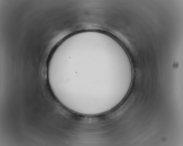 X0000101431269200808041143